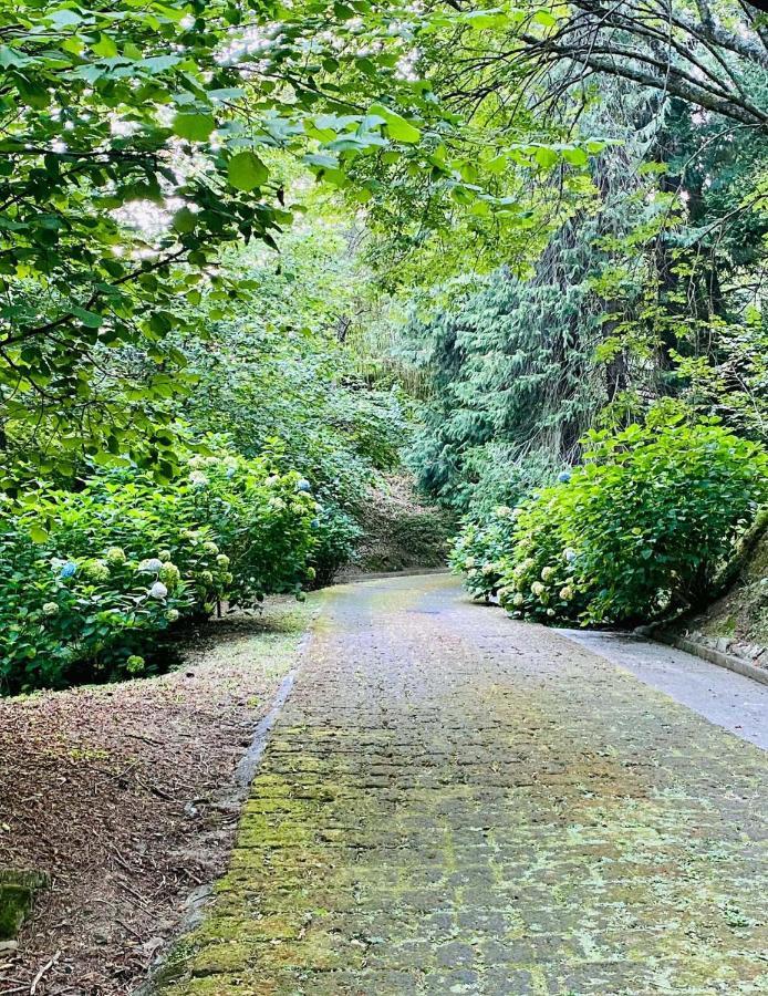 Borzonasca Il Bosco Di Campo Marzano Green & Sky מראה חיצוני תמונה