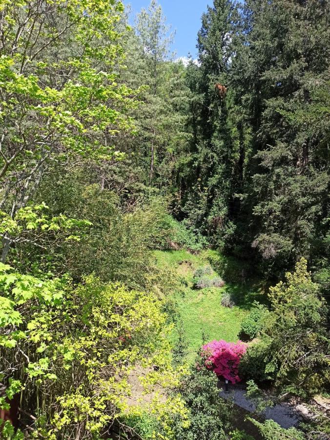 Borzonasca Il Bosco Di Campo Marzano Green & Sky מראה חיצוני תמונה
