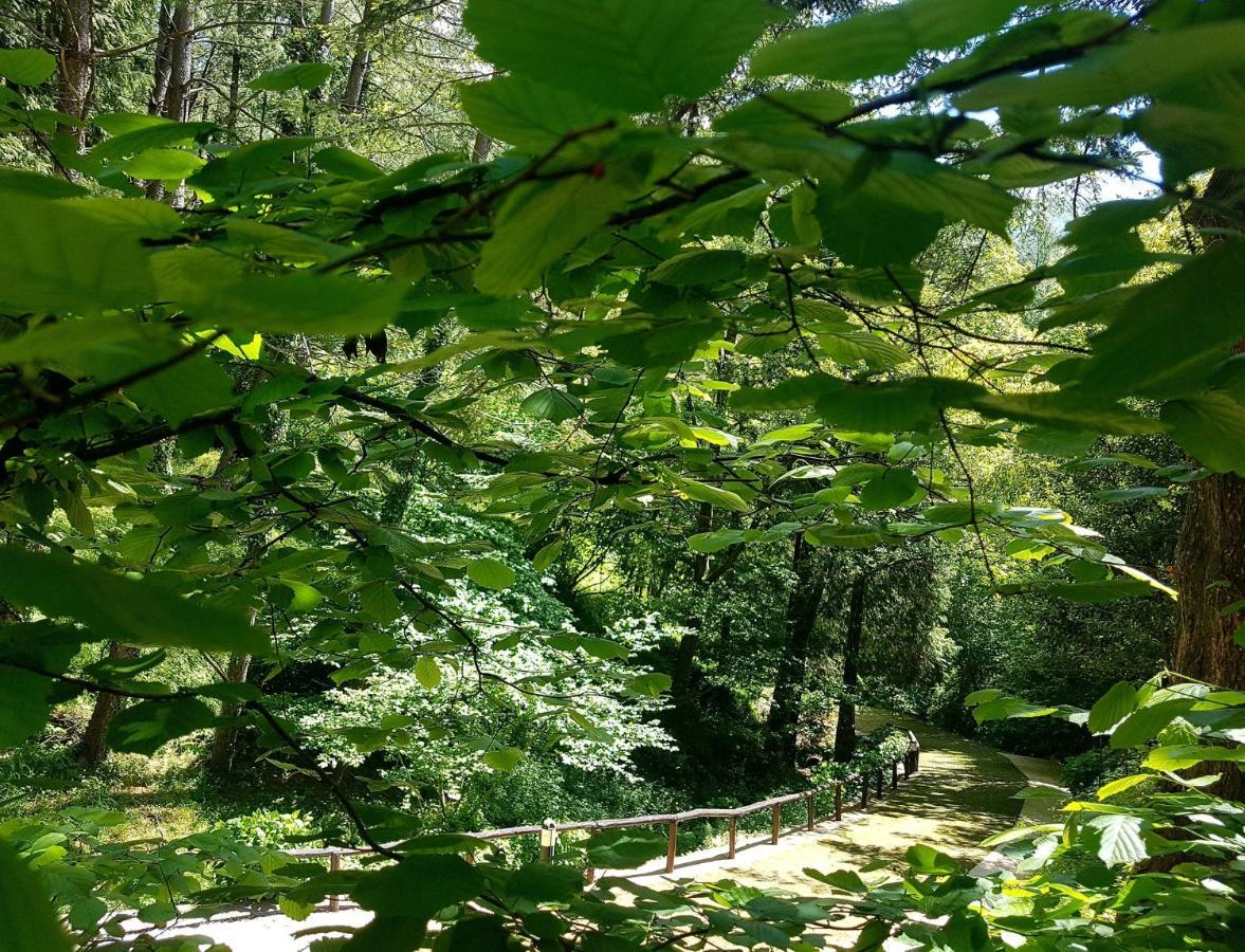 Borzonasca Il Bosco Di Campo Marzano Green & Sky מראה חיצוני תמונה